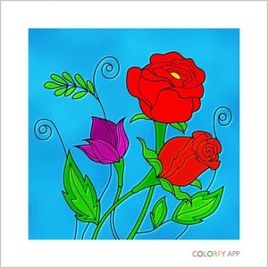 Meet your Posher, Colleen